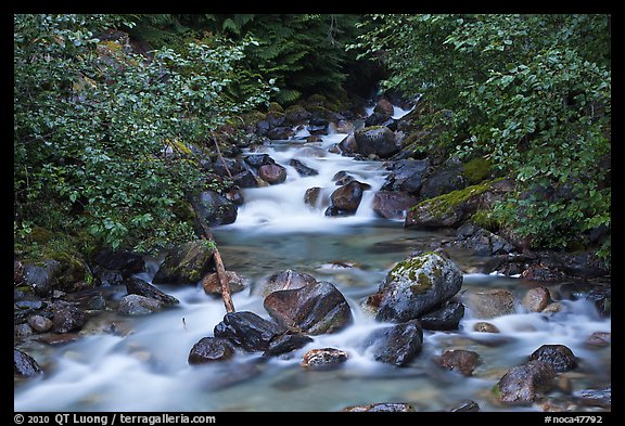 Sibley Creek, Mount Baker Snoqualmie National Forest. Washington (color)