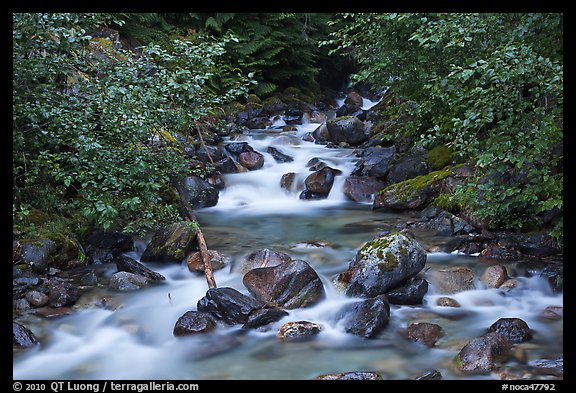 Sibley Creek, Mount Baker Snoqualmie National Forest. Washington