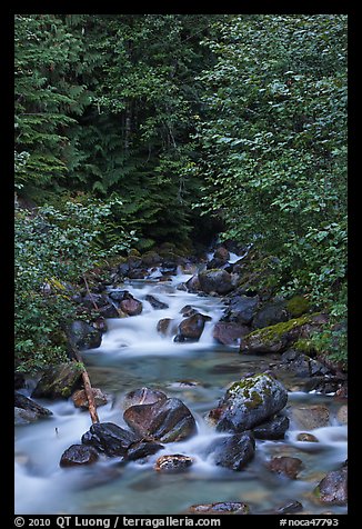 Creek cascading over boulders, Mount Baker Snoqualmie National Forest. Washington (color)