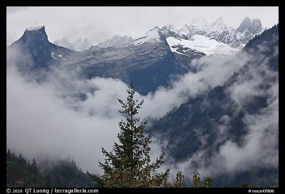 The Picket Range and clouds in rainy weather, North Cascades National Park.  (color)