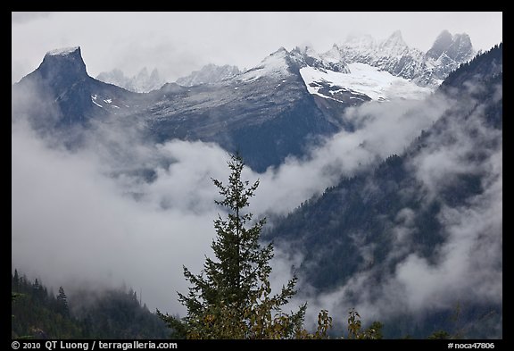 The Picket Range and clouds in rainy weather, North Cascades National Park. Washington, USA.