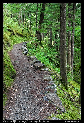 River Loop trail, North Cascades National Park Service Complex. Washington, USA.