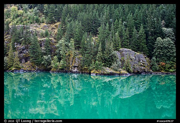 Forest reflected in turquoise waters, Gorge Lake, North Cascades National Park Service Complex. Washington, USA.