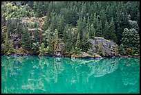 Forest reflected in turquoise waters, Gorge Lake, North Cascades National Park Service Complex. Washington, USA. (color)