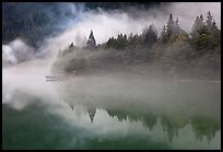 Fog trees, and pier, Diablo Lake, North Cascades National Park Service Complex. Washington, USA.