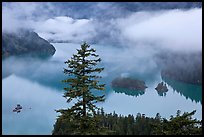 Fog hanging above Diablo Lake, North Cascades National Park Service Complex. Washington, USA.