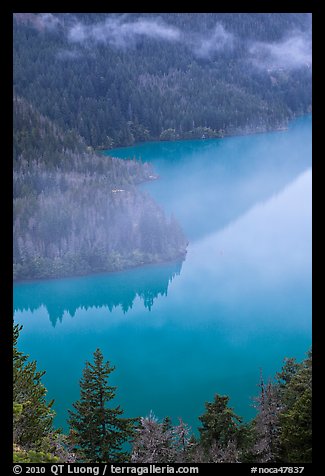 Turquoise waters and fog, Diablo Lake, North Cascades National Park Service Complex. Washington, USA.