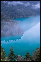 Turquoise waters and fog, Diablo Lake, North Cascades National Park Service Complex.  ( color)