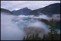 Low fog rolling over Diablo Lake, dawn, North Cascades National Park Service Complex. Washington, USA.