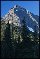 Greybeard Peak rising above forest, North Cascades National Park. Washington, USA.