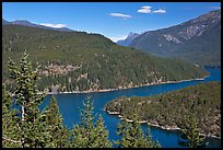 Ross Lake, morning,  North Cascades National Park Service Complex.  ( color)