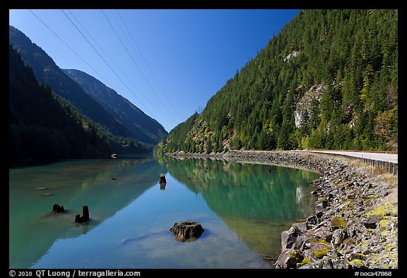 Tree stumps, Gorge Lake,  North Cascades National Park Service Complex.  (color)