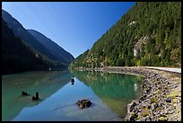 Tree stumps, Gorge Lake,  North Cascades National Park Service Complex. Washington, USA.