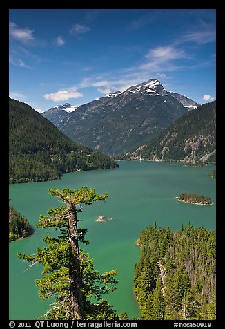 Colonial Peak and Pyramid Peak above Diablo Lake, summer morning,  North Cascades National Park Service Complex. Washington, USA.