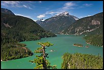Diablo Lake from overlook,  North Cascades National Park Service Complex. Washington, USA.