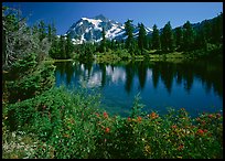 Mt Shuksan reflected in Picture Lake, mid-day. North Cascades National Park, Washington, USA.