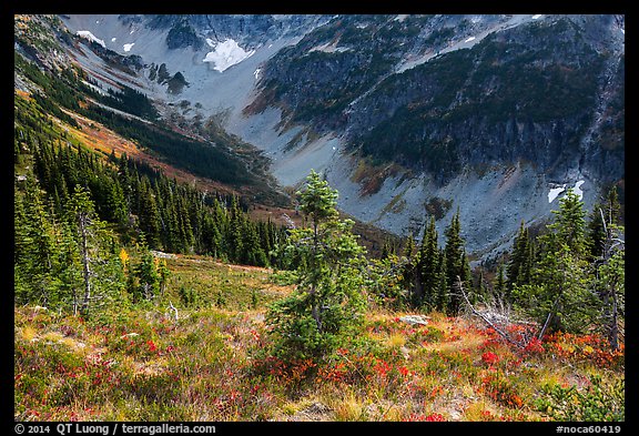Fisher Creek Basin valley, North Cascades National Park.  (color)
