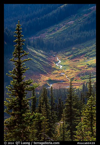 Fisher Creek in autumn, North Cascades National Park.  (color)
