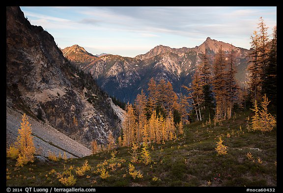 Visitor looking, Easy Pass, North Cascades National Park. Washington, USA.