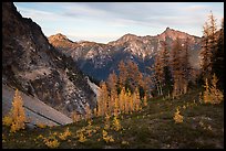 Visitor looking, Easy Pass, North Cascades National Park. Washington, USA.