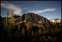 Larches and Mount Logan from Easy Pass at night, North Cascades National Park. Washington, USA.