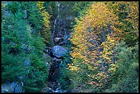 Waterfall in gully bordered by trees in fall foliage, North Cascades National Park Service Complex. Washington, USA.