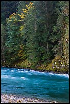 Stream in autumn, Gorge Lake, North Cascades National Park Service Complex. Washington, USA.