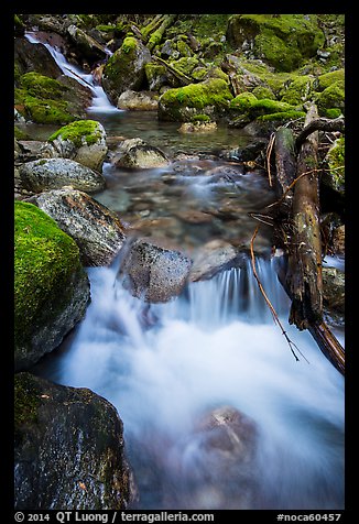 Cascading creek, North Cascades National Park Service Complex. Washington, USA.