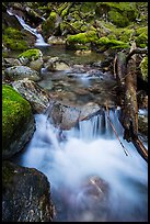 Cascading creek, North Cascades National Park Service Complex.  ( color)