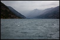 Rain, Lake Chelan, North Cascades National Park Service Complex.  ( color)