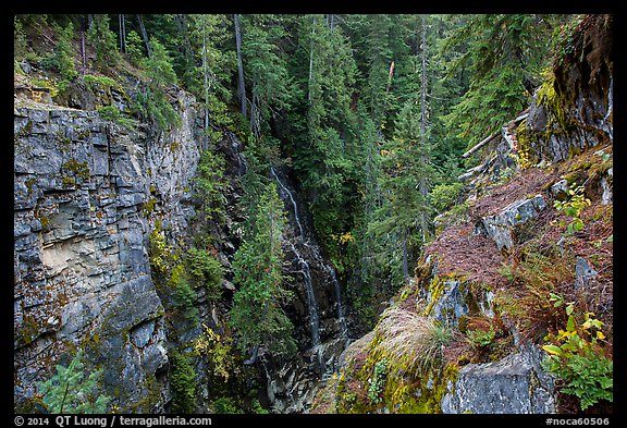 Waterfall, Agnes Gorge, Glacier Peak Wilderness. Washington, USA.