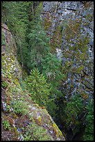 Agnes Gorge, Glacier Peak Wilderness.  ( color)