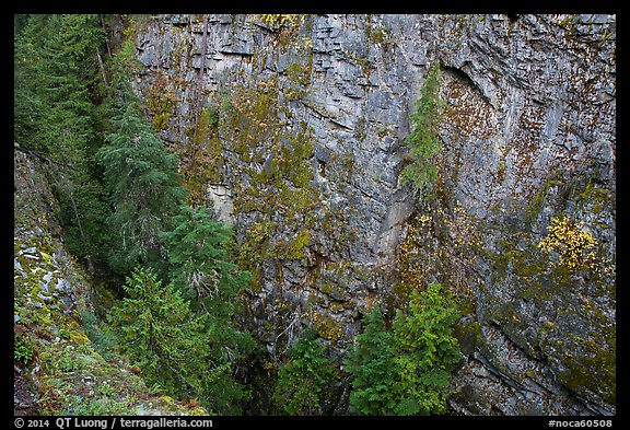 Sheer Skagit Gneiss walls of Agnes Gorge, Glacier Peak Wilderness.  (color)