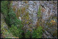 Sheer Skagit Gneiss walls of Agnes Gorge, Glacier Peak Wilderness.  ( color)