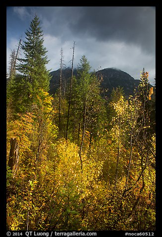 McGregor Mountain under dark sky in autumn, North Cascades National Park.  (color)