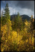 McGregor Mountain under dark sky in autumn, North Cascades National Park. Washington, USA.