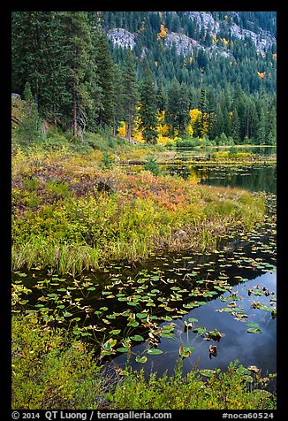 Coon Lake in autumn, Stehekin, North Cascades National Park Service Complex. Washington, USA.