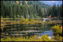 Coon Lake reflections, Stehekin, North Cascades National Park Service Complex.  ( color)