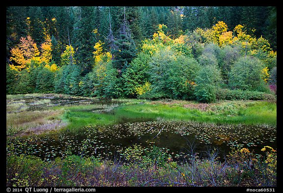 Pond in autumn, North Cascades National Park Service Complex.  (color)