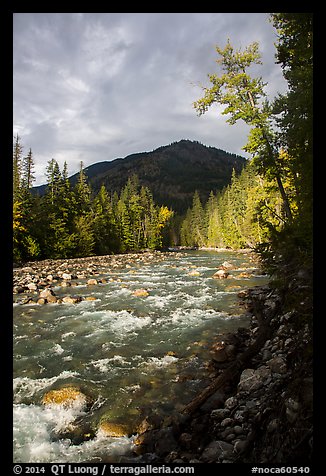 Stehekin River, North Cascades National Park Service Complex. Washington, USA.