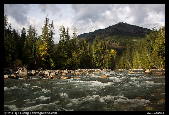 Stehekin River, looking up valley, North Cascades National Park Service Complex.  (color)
