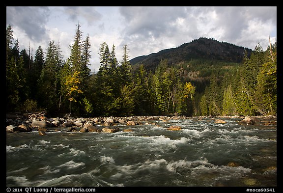 Stehekin River, looking up valley, North Cascades National Park Service Complex. Washington, USA.