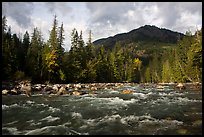 Stehekin River, looking up valley, North Cascades National Park Service Complex.  ( color)