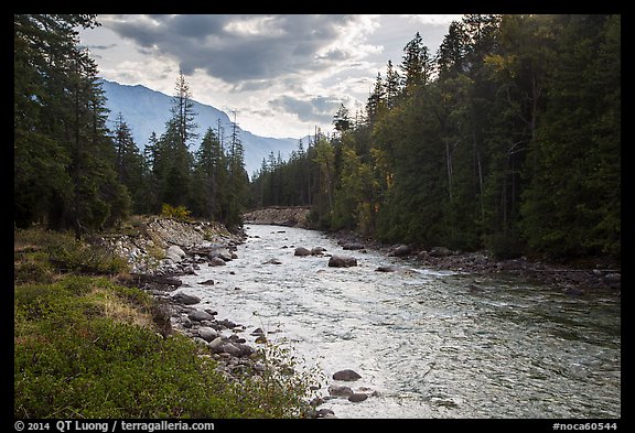 Stehekin River, looking down valley, North Cascades National Park Service Complex.  (color)
