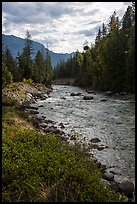 Stehekin River flows in Stehekin Valley, North Cascades National Park Service Complex. Washington, USA.