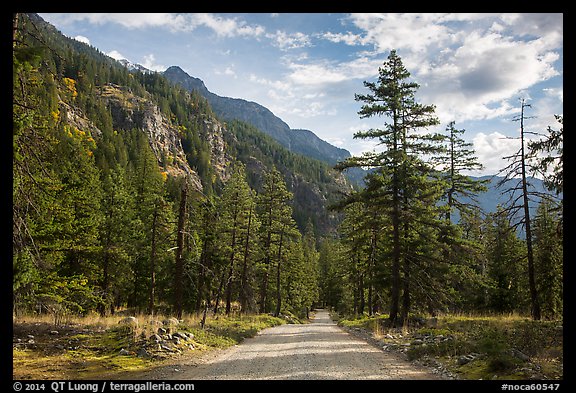 Road, Stehekin Valley, North Cascades National Park Service Complex.  (color)