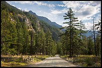 Road, Stehekin Valley, North Cascades National Park Service Complex. Washington, USA.