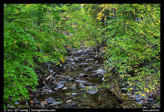 Stream, Stehekin, North Cascades National Park Service Complex.  (color)