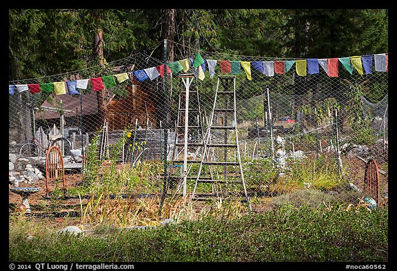 Vegetable garden, Stehekin, North Cascades National Park Service Complex. Washington, USA.