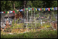 Vegetable garden, Stehekin, North Cascades National Park Service Complex.  ( color)